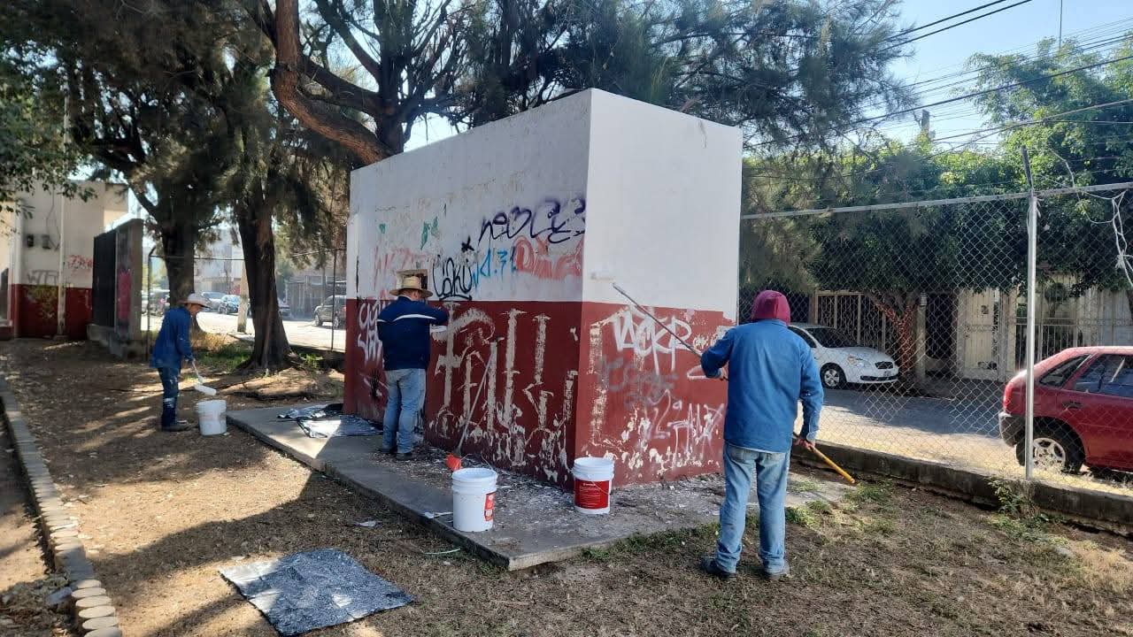 Imagen de la galería 14